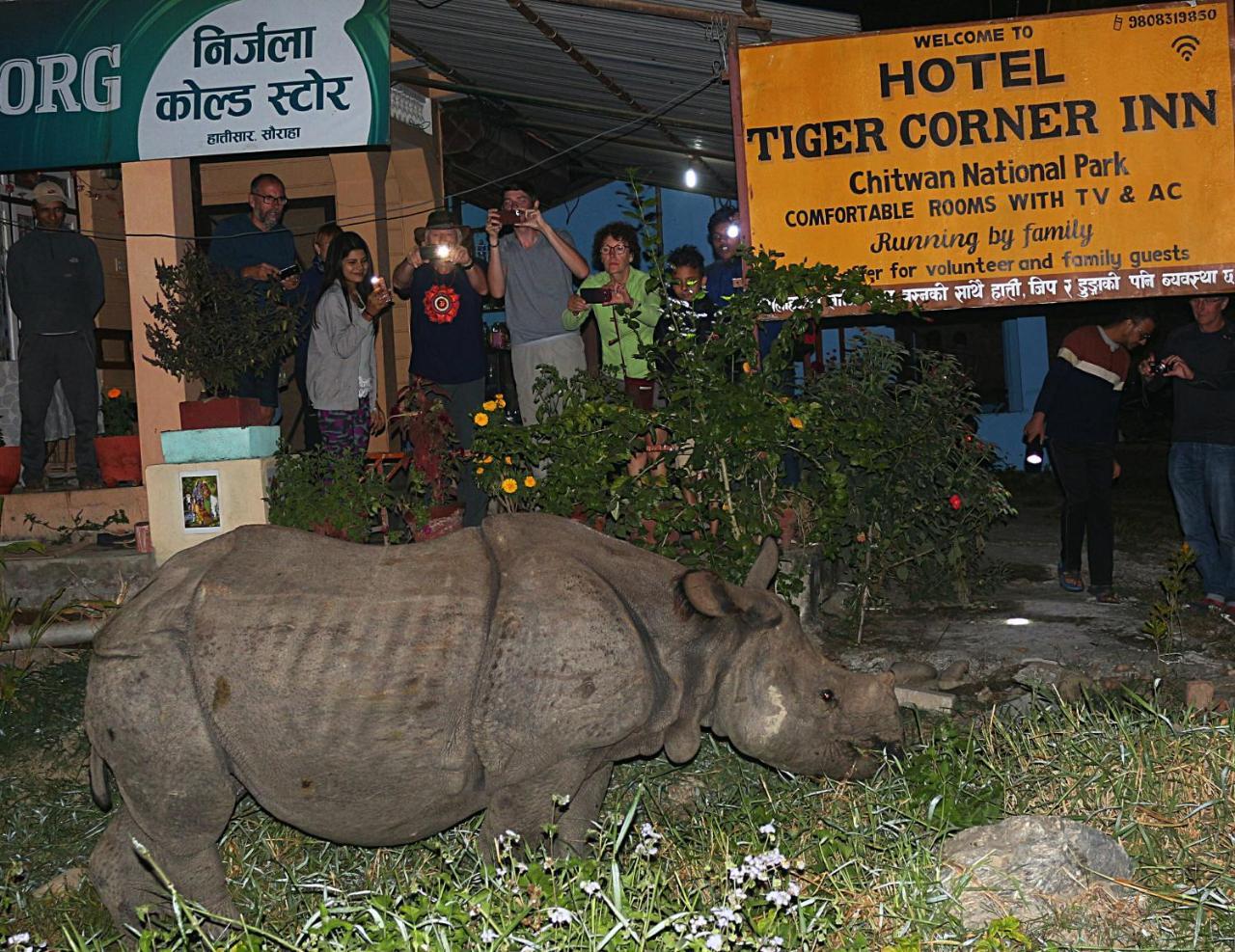 Tiger Corner Inn Sauraha Exterior foto